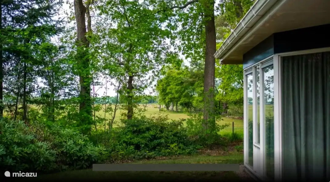 Mountain & Forest House B&B13, Blick aus dem Wohnzimmer