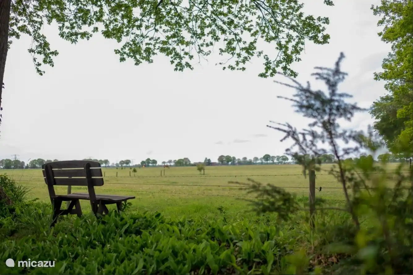 Berg- und Waldhaus B&B13, Gartenblick