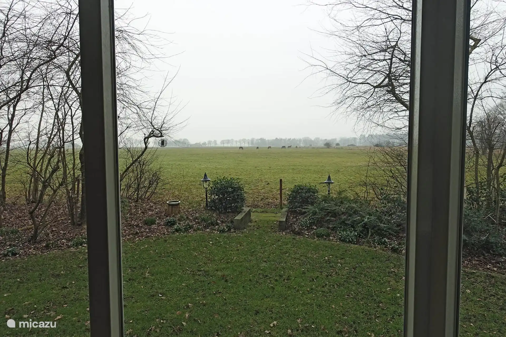 Berg & Bos Haus B&B15, Blick aus dem Wohnzimmer