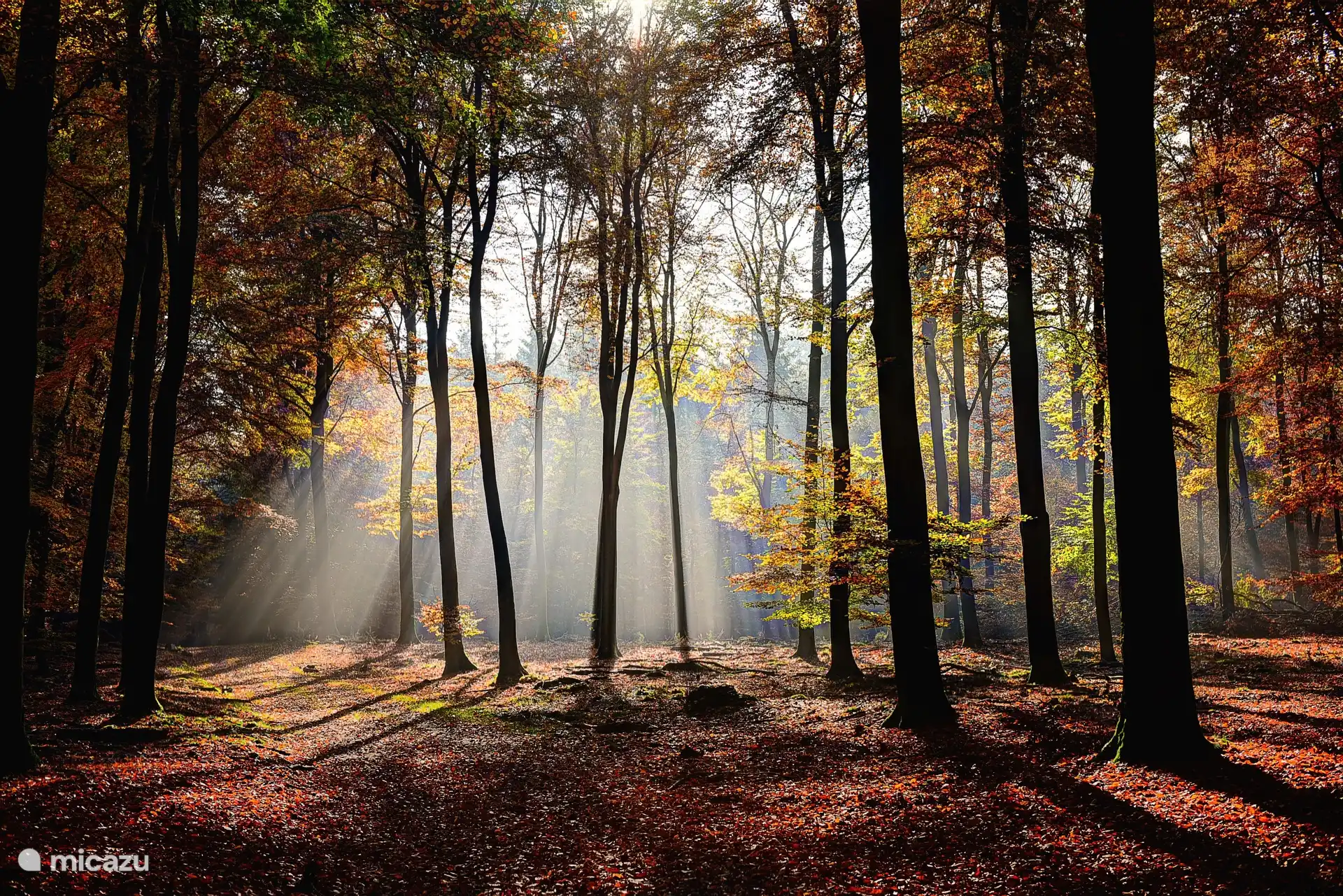Berg & Bos House B&B15 schöne Wälder in der Umgebung