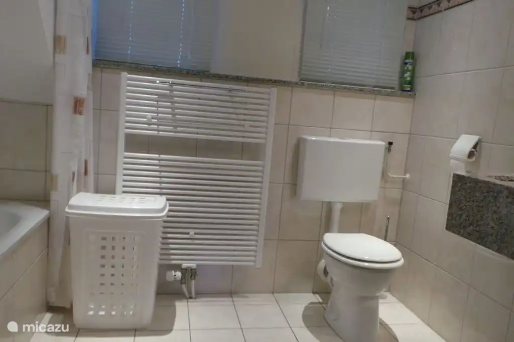 Berg & Bos House B&B15 Badezimmer mit Dusche, Waschbecken und Toilette 2