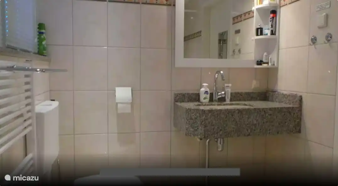 Berg & Bos House B&B15 Badezimmer mit Dusche, Waschbecken und Toilette