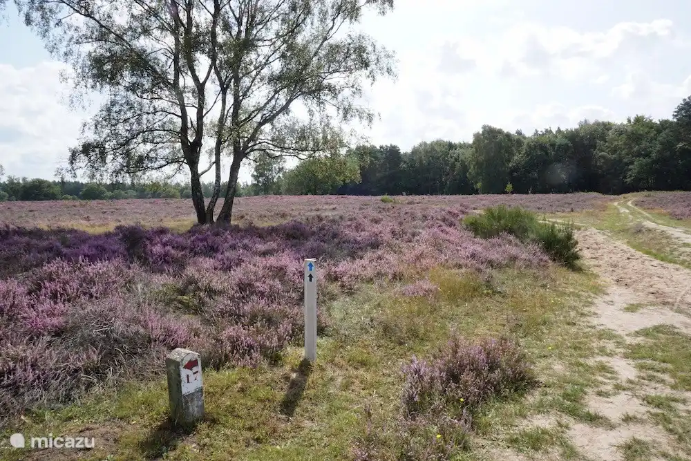 Berg & Bos House B&B15 Badezimmer-Eindruck Lemelerberg