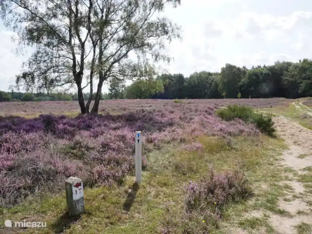 Vechtdalhuis B&B43 | Pays-Bas, Overijssel, Lemele - maison de vacances