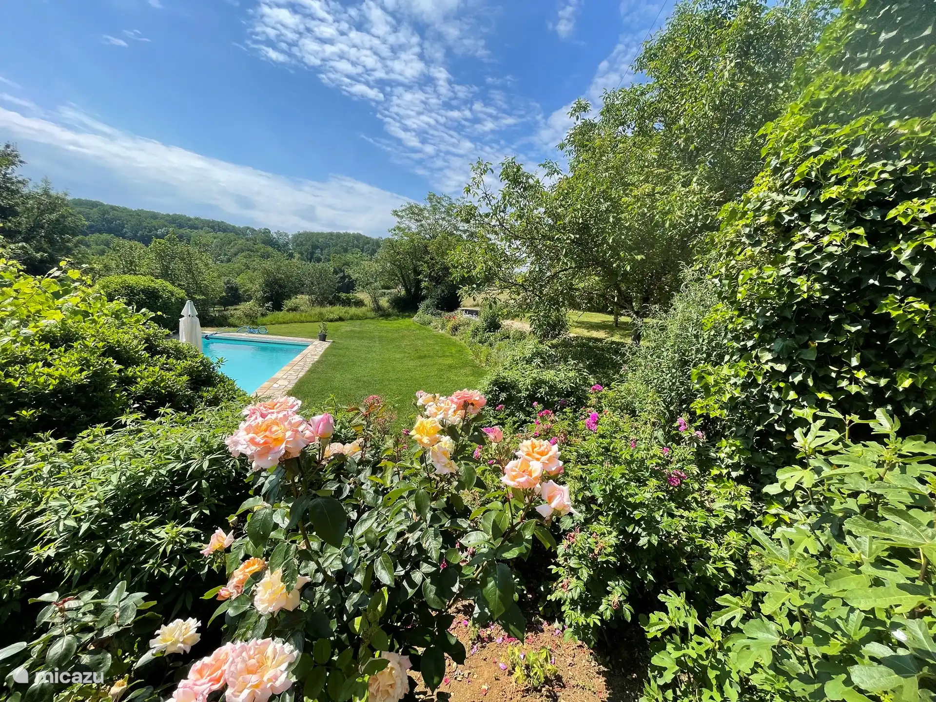 Vue de la piscine depuis la terrasse arrière avec ombre dans l’après-midi