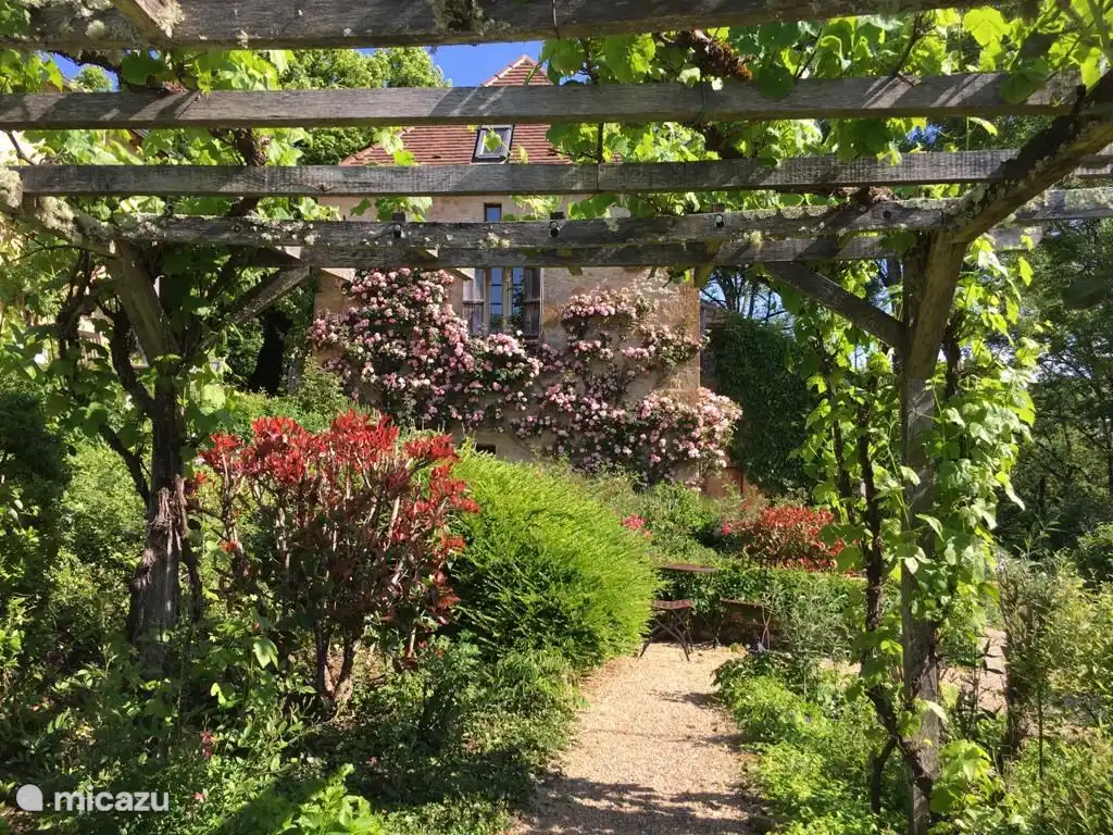 Pergola avec raisins et roses