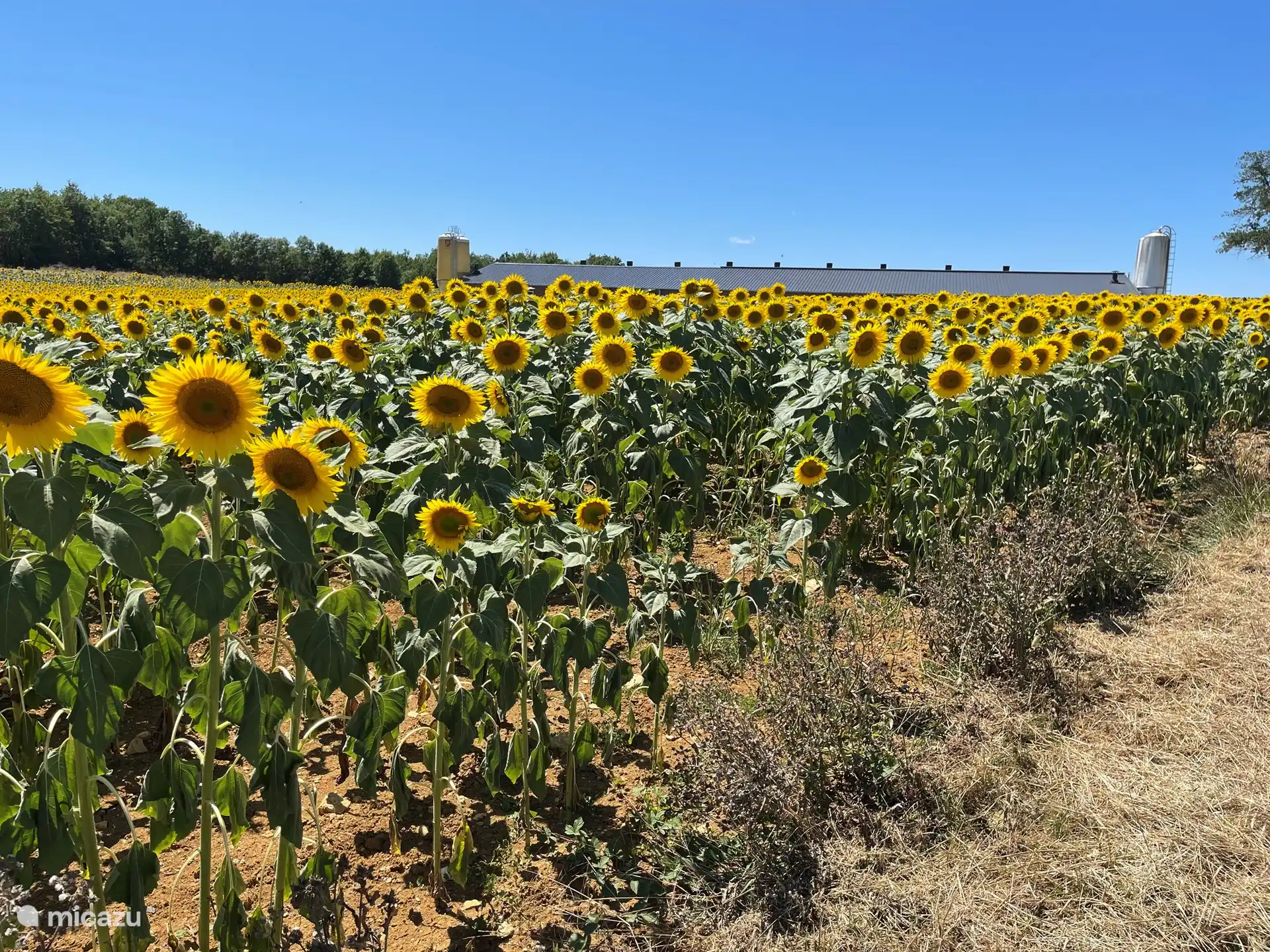 À proximité immédiate