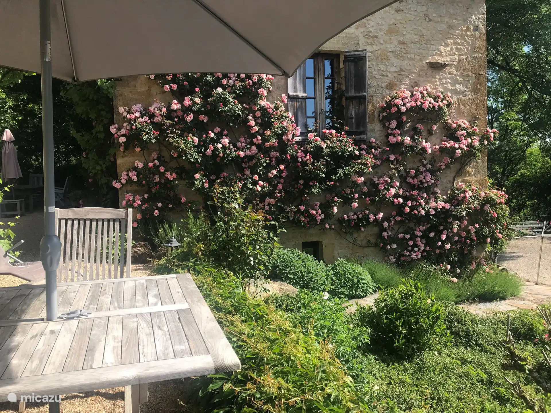 Vue depuis la terrasse derrière le gîte