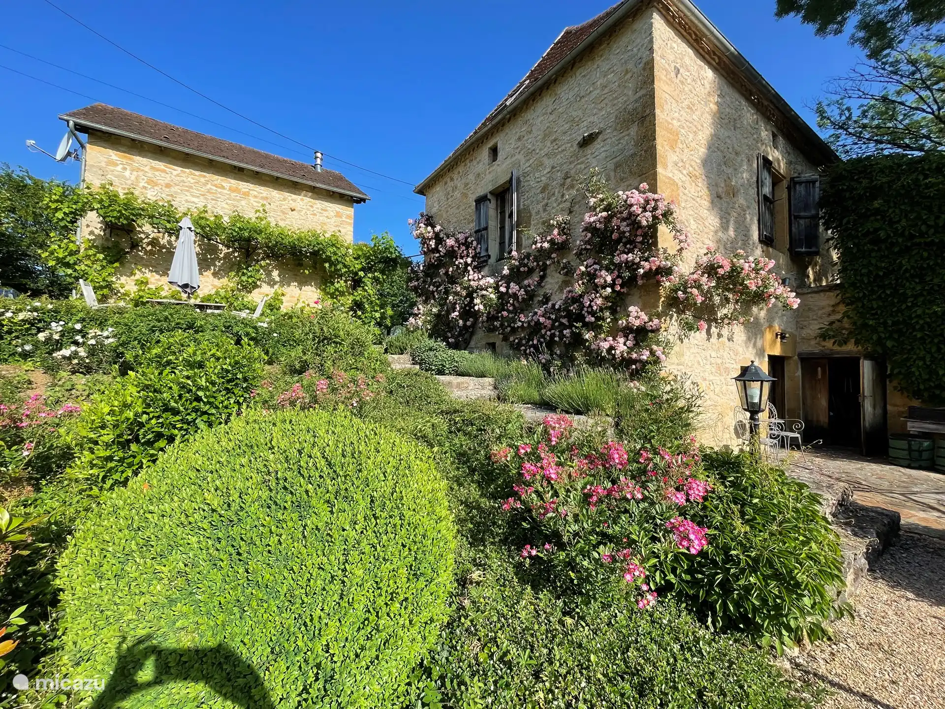 Terrasse arrière avec soleil du matin. Mai/Juin vue des roses. Vu du chemin menant à la piscine.