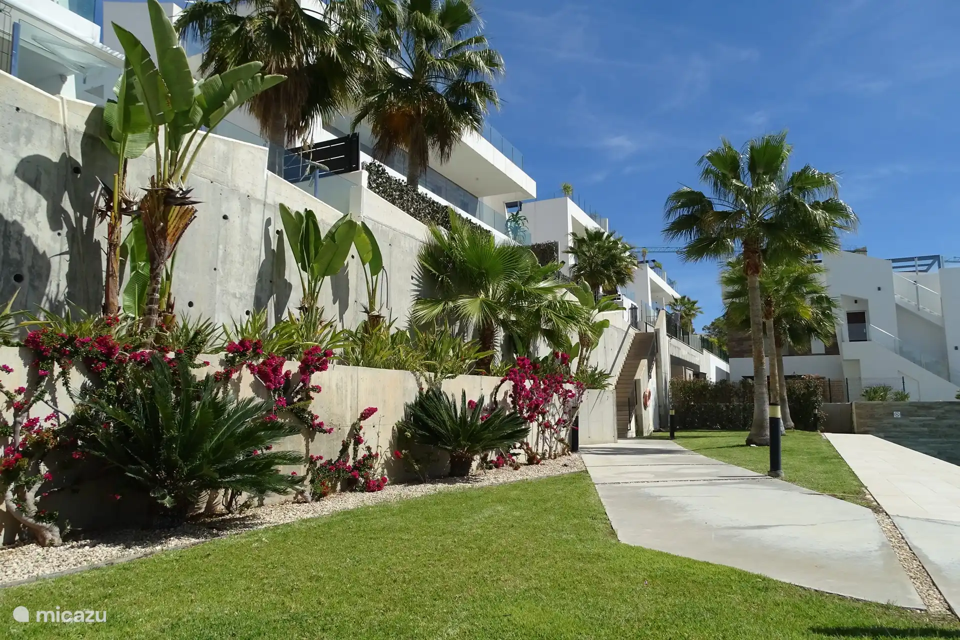 Jardín comunitario con plantas del sur