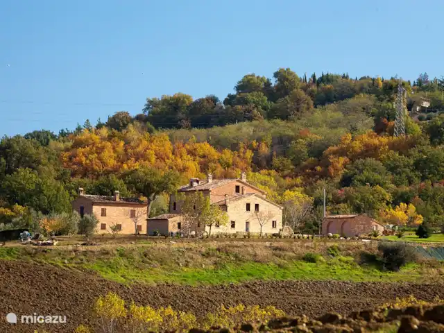 Maison de campagne de Collerovere  | Italie, Marche, Sant'Angelo in Pontano - villa Notre lieu magique
