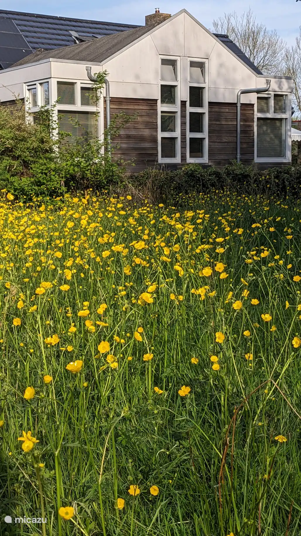 ferienhaus, Dokkum, Friesland, Niederlande - B&B Schlafen Sie gut