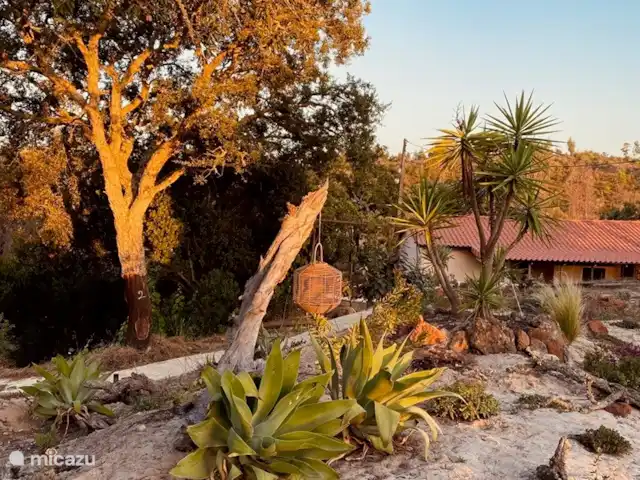 vakantiehuis huren in Portugal, Beja, São Teotónio – Casa Lipe Tuin