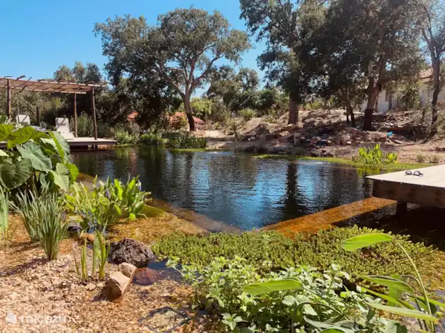 vakantiehuis huren in Portugal, Beja, São Teotónio – Casa Lipe Natuurlijke zwemvijver