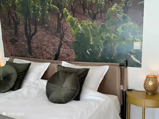 Location de Vacances France, Hérault, Oupia, chambres d'hôtes - Marie Jean chambre Le Vignoble De jolis coussins