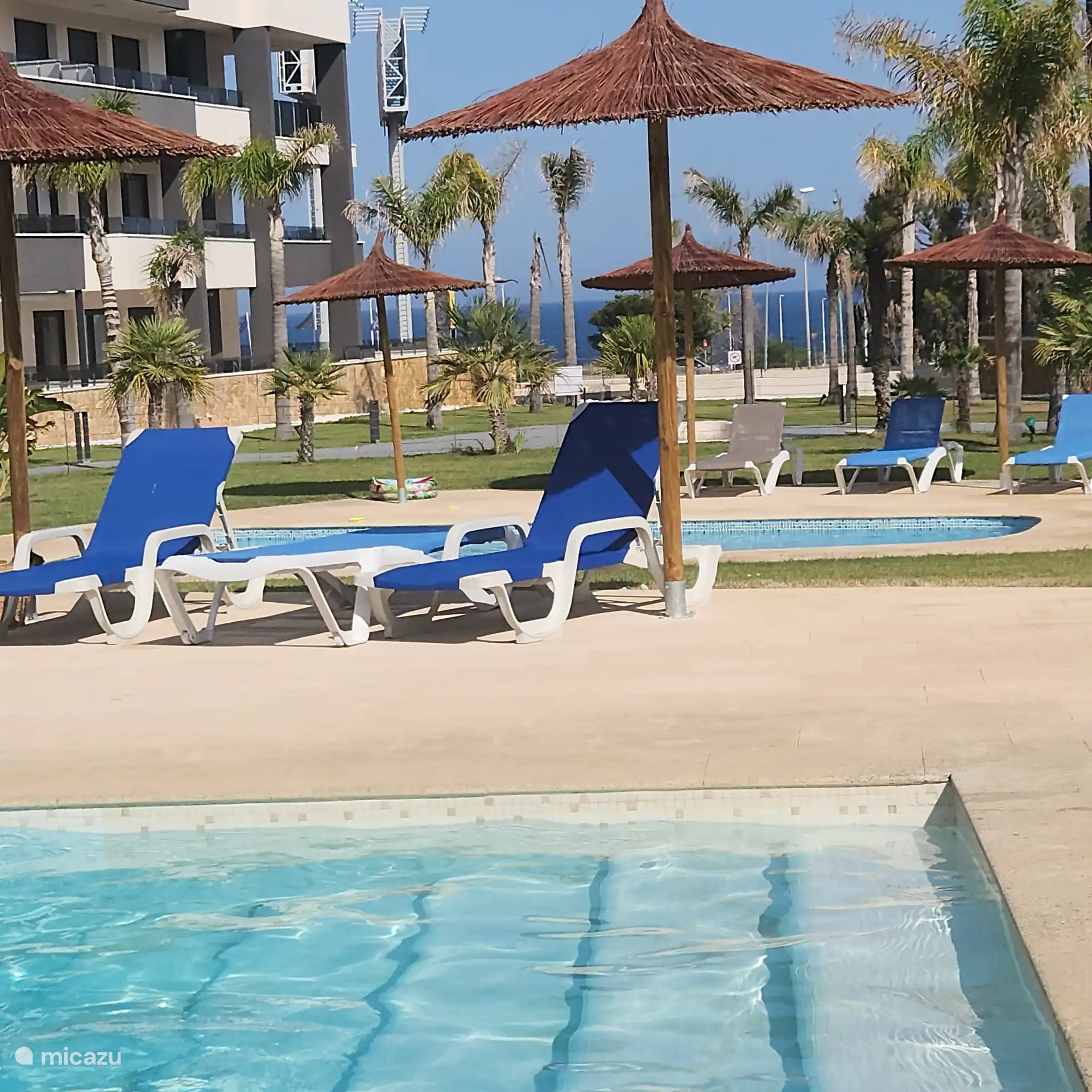 Nouveaux parasols au bord de la piscine 