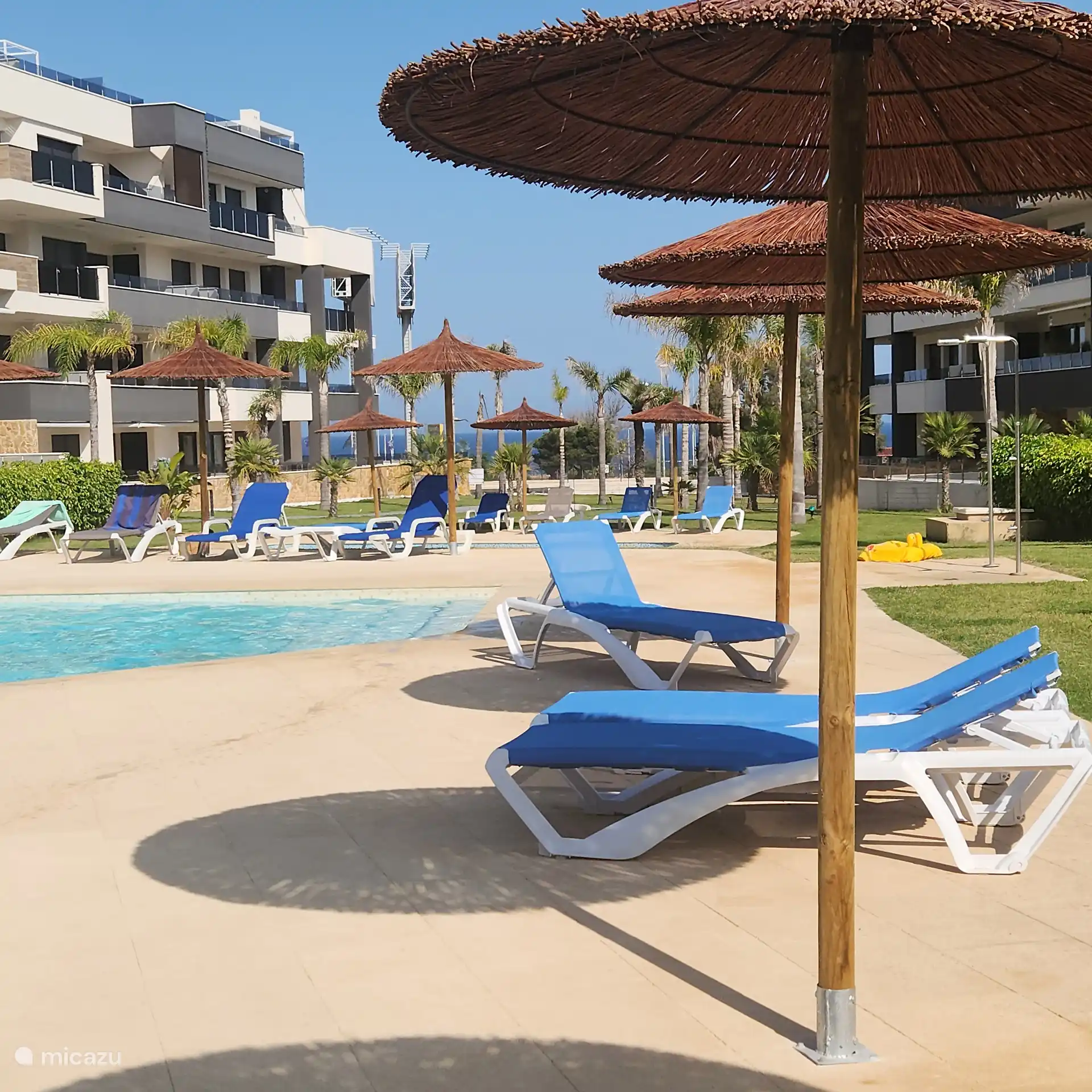 Vue d’ensemble de la piscine