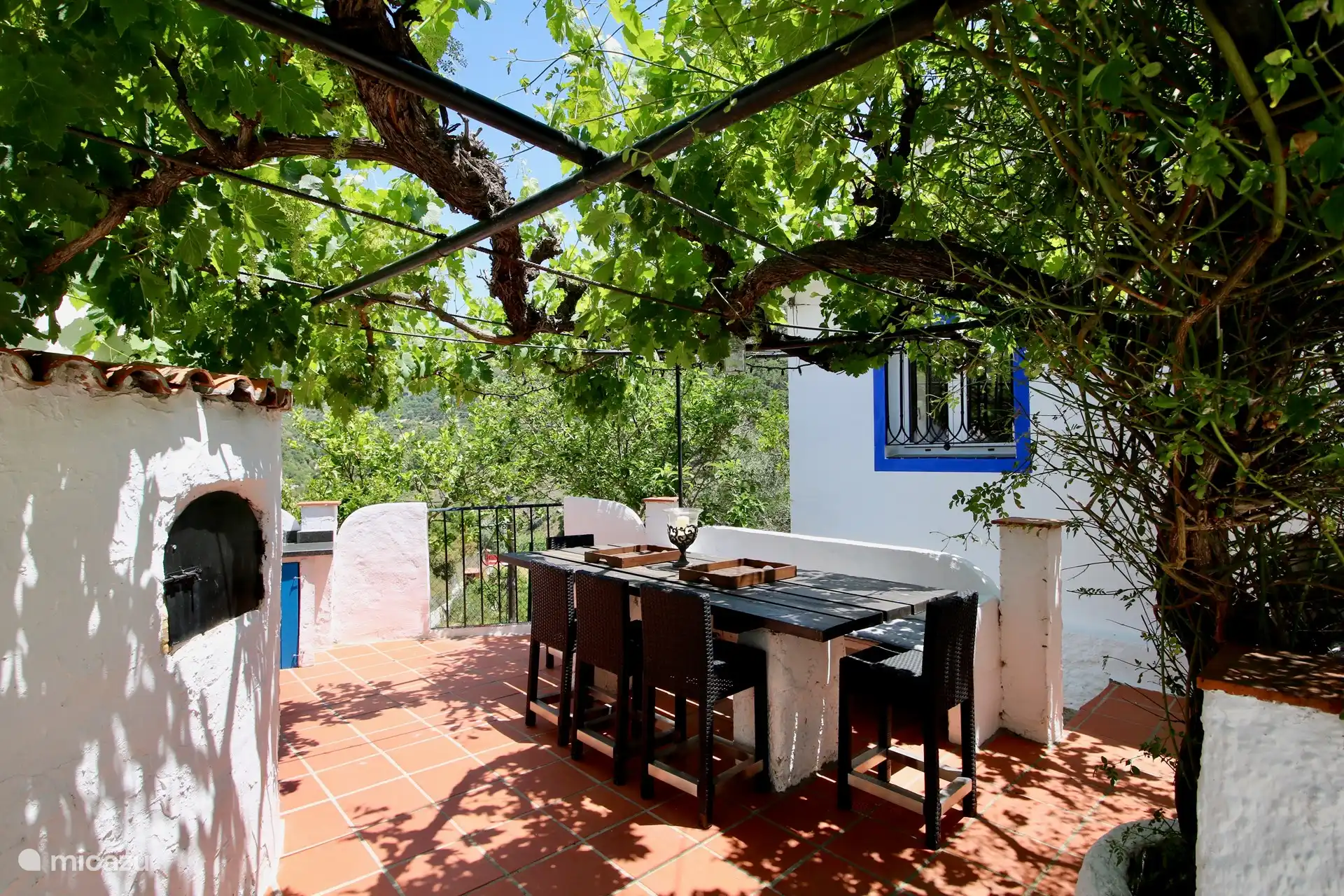 Essen unter den Weinreben
