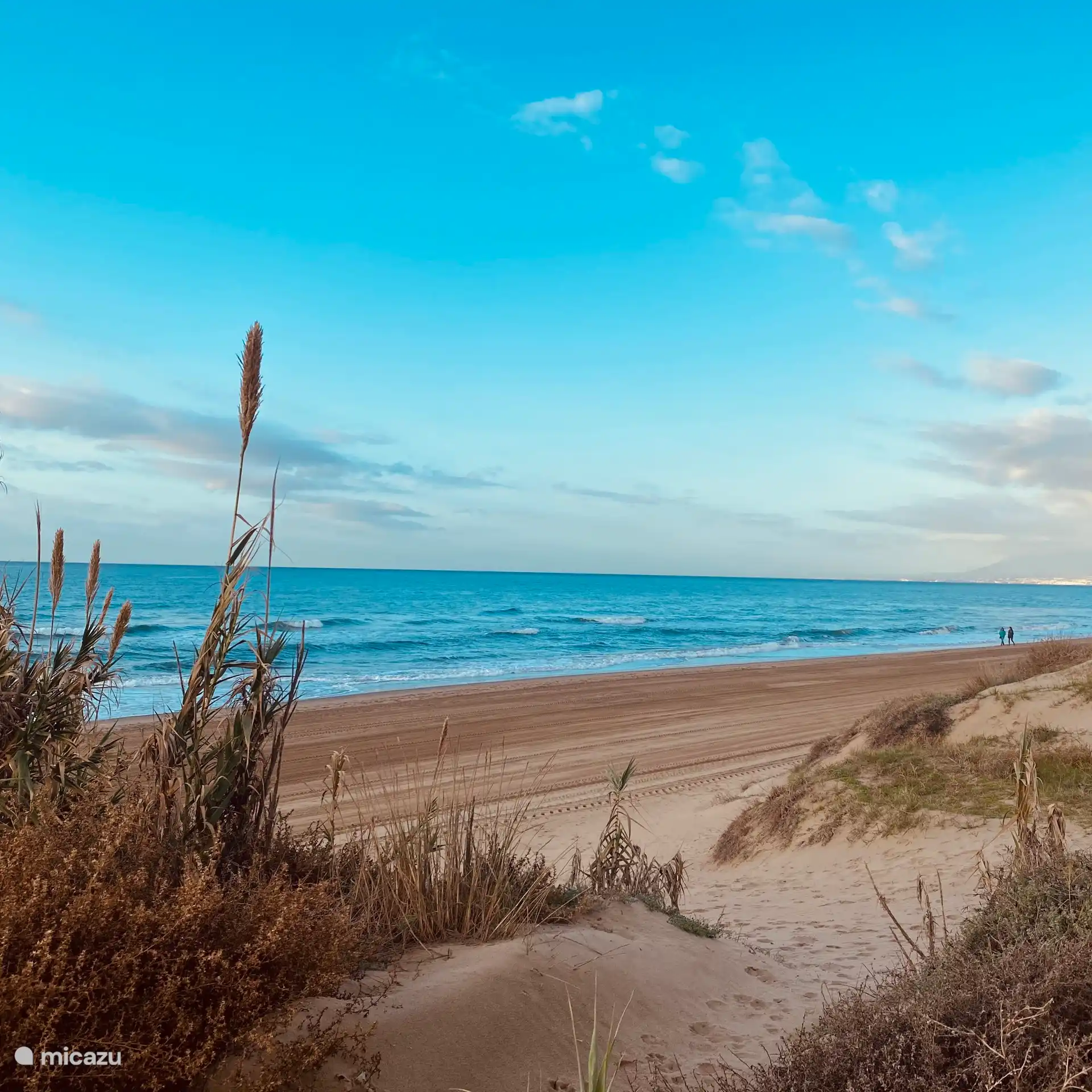 Mehrere Strände im Umkreis von 15 Autominuten