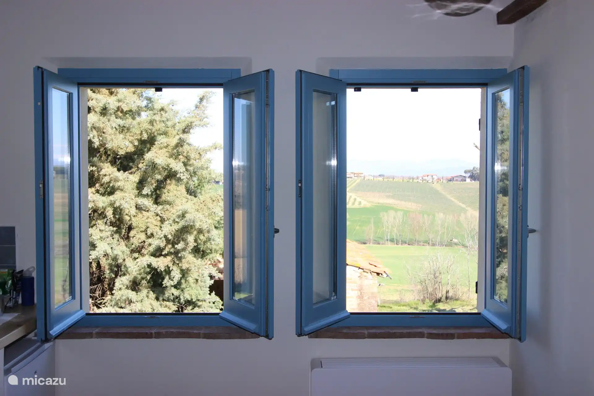 View from the kitchen on the vineyard