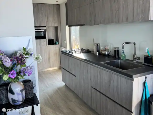 Lakehouse 1 | Pays-Bas, Frise, Elahuizen - maison de vacances Cuisine