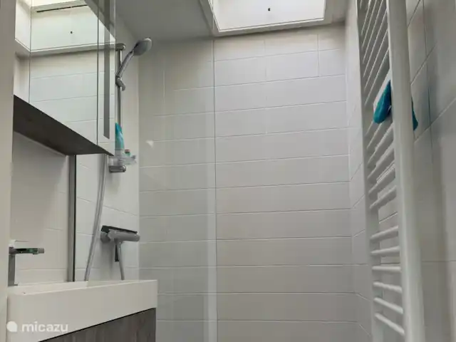Lakehouse 1 | Pays-Bas, Frise, Elahuizen - maison de vacances Salle de bain avec douche et lavabo