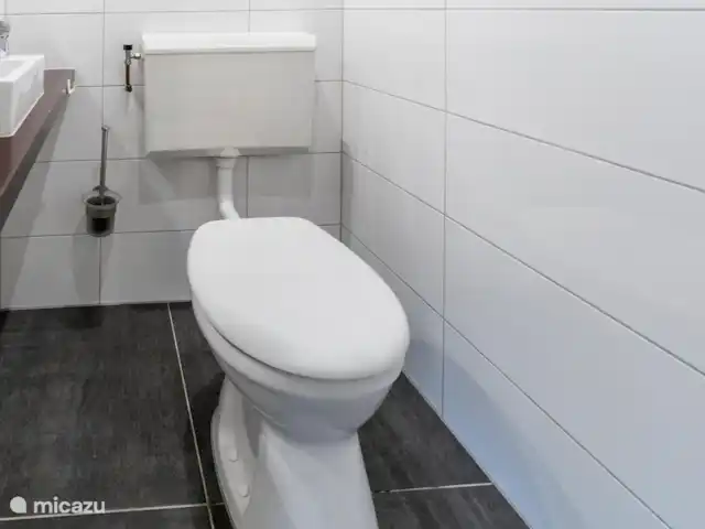 Vosseven 17 | Pays-Bas, Limbourg, Stramproy - bungalow Toilette