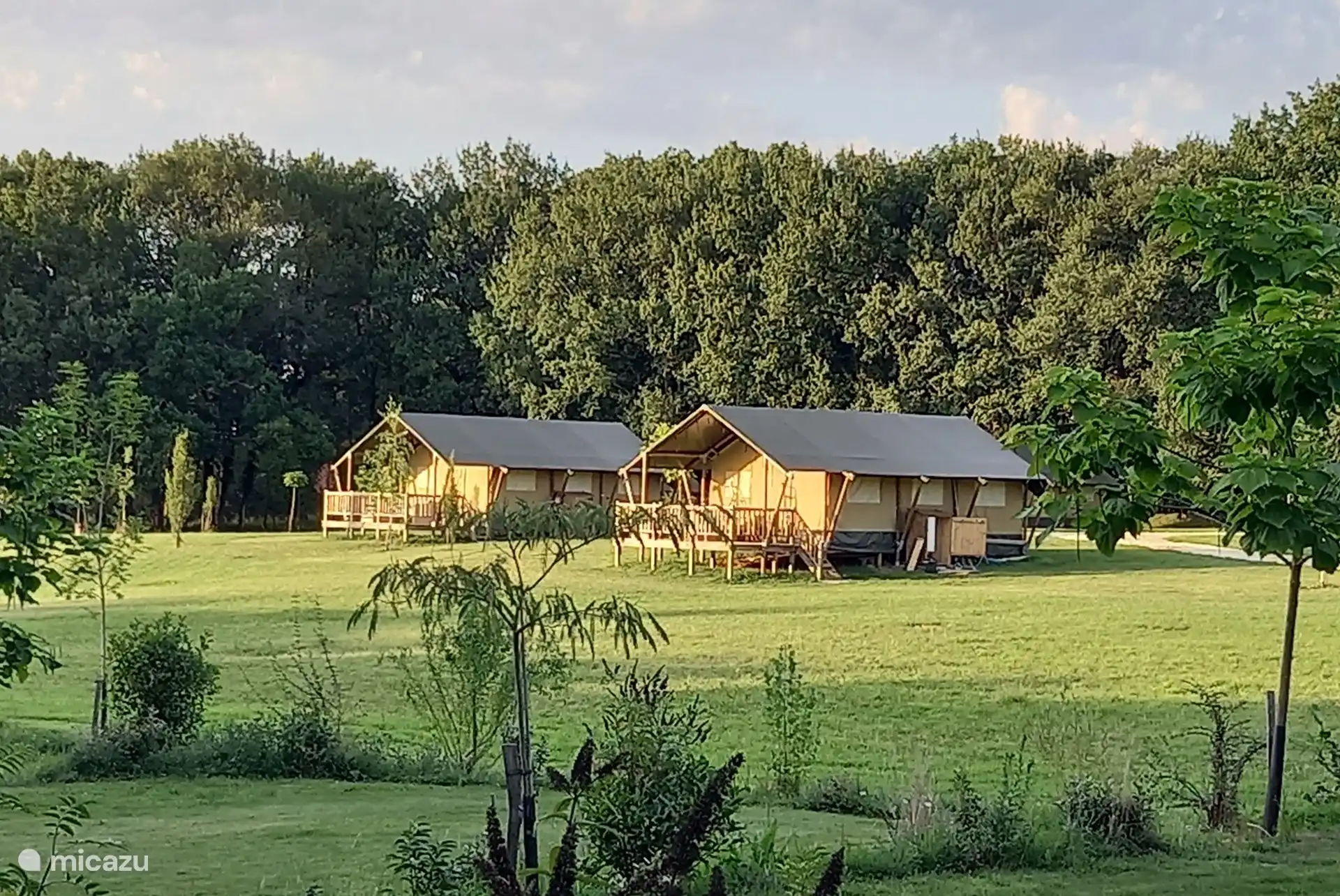 GLAMPING SAFARI LODGE MONPAZIER in Frankreich, Dordogne, Saint-Cassien - Glamping / Safarizelt / Yurt