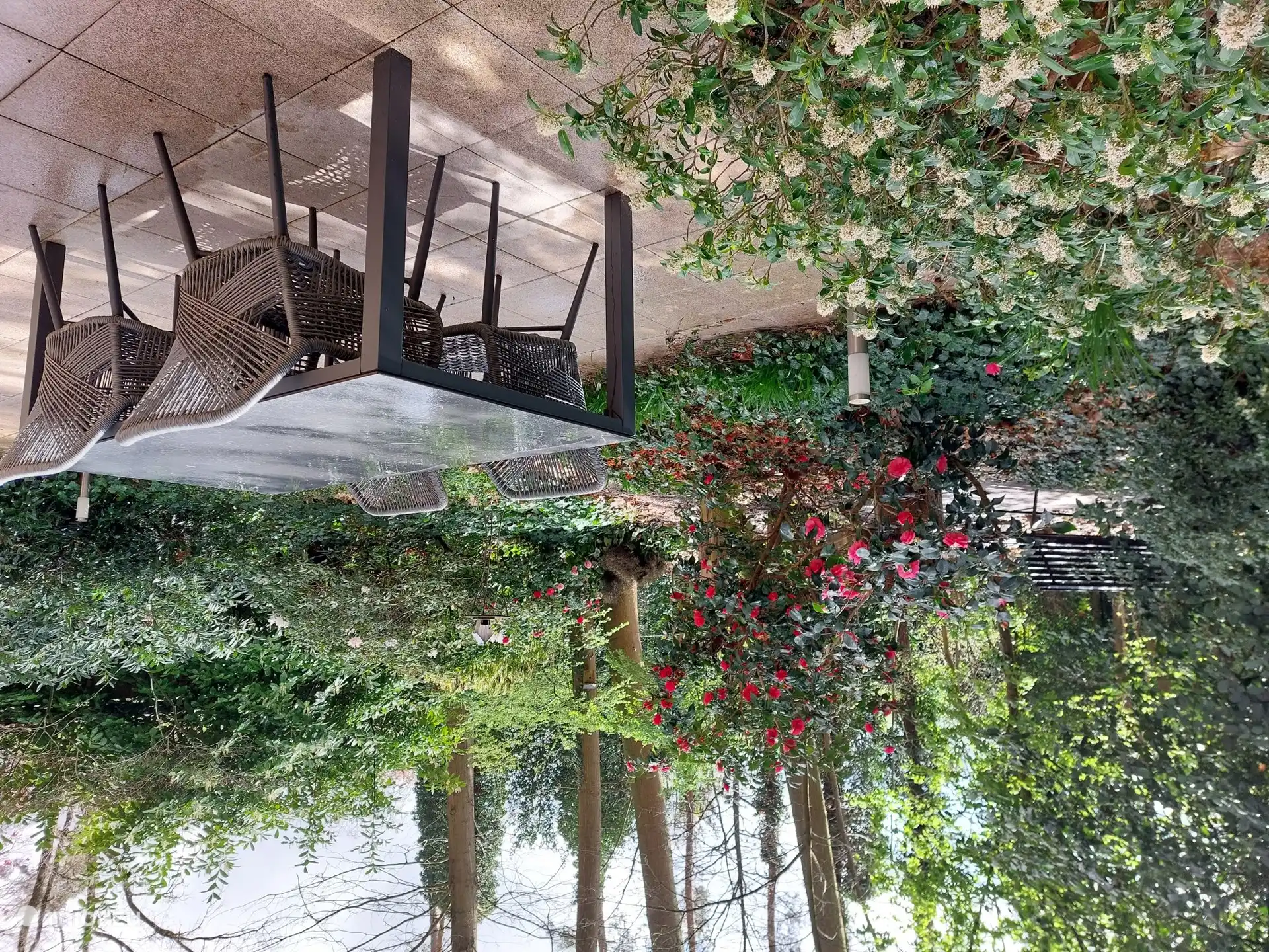 Buitenhuis de Eekhoorn in Belgien, Limburg, Rekem - Bungalow