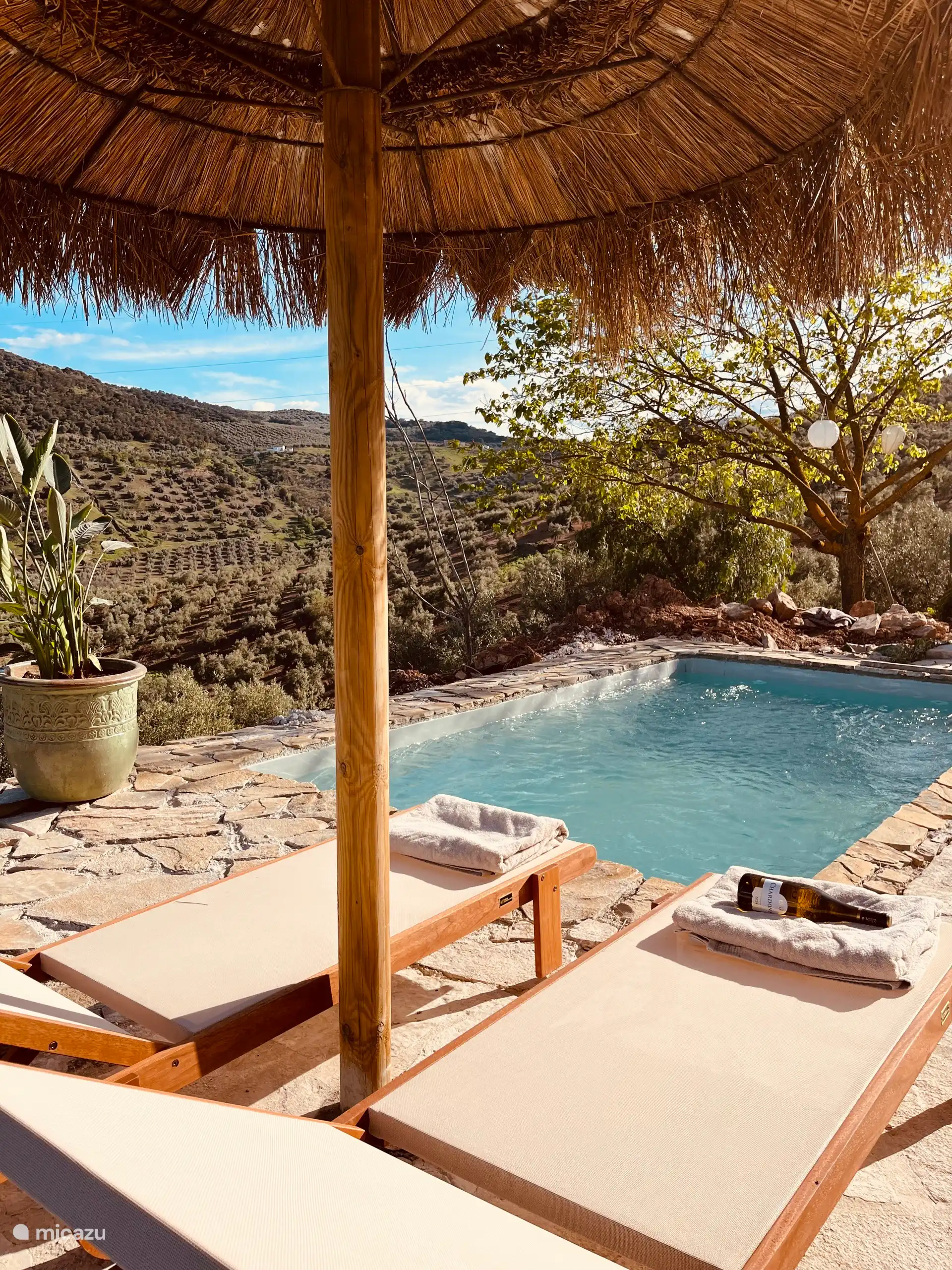 Privater Swimmingpool