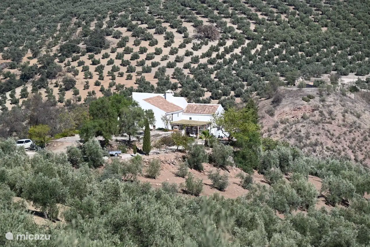 Cortijo La Pedriza in Spanien, Andalusien, Iznajar - ferienhaus