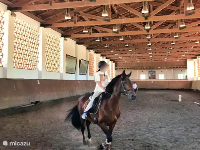 Location de Vacances Portugal, Portalegre, Figueira e Barros, villa - Piscine Casa Heechhiem pour 6 personnes Cours d’équitation dans les écuries royales