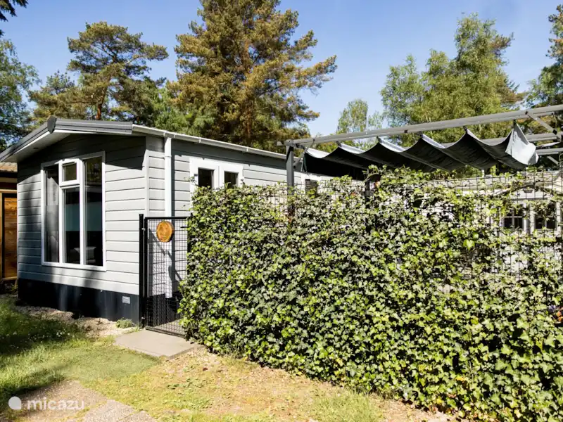 La maison de la forêt de Veluwe  | Pays-Bas, Gueldre, Hoenderloo - Chalet La maison de la forêt de Veluwe  | Pays-Bas, Gueldre, Hoenderloo - Chalet