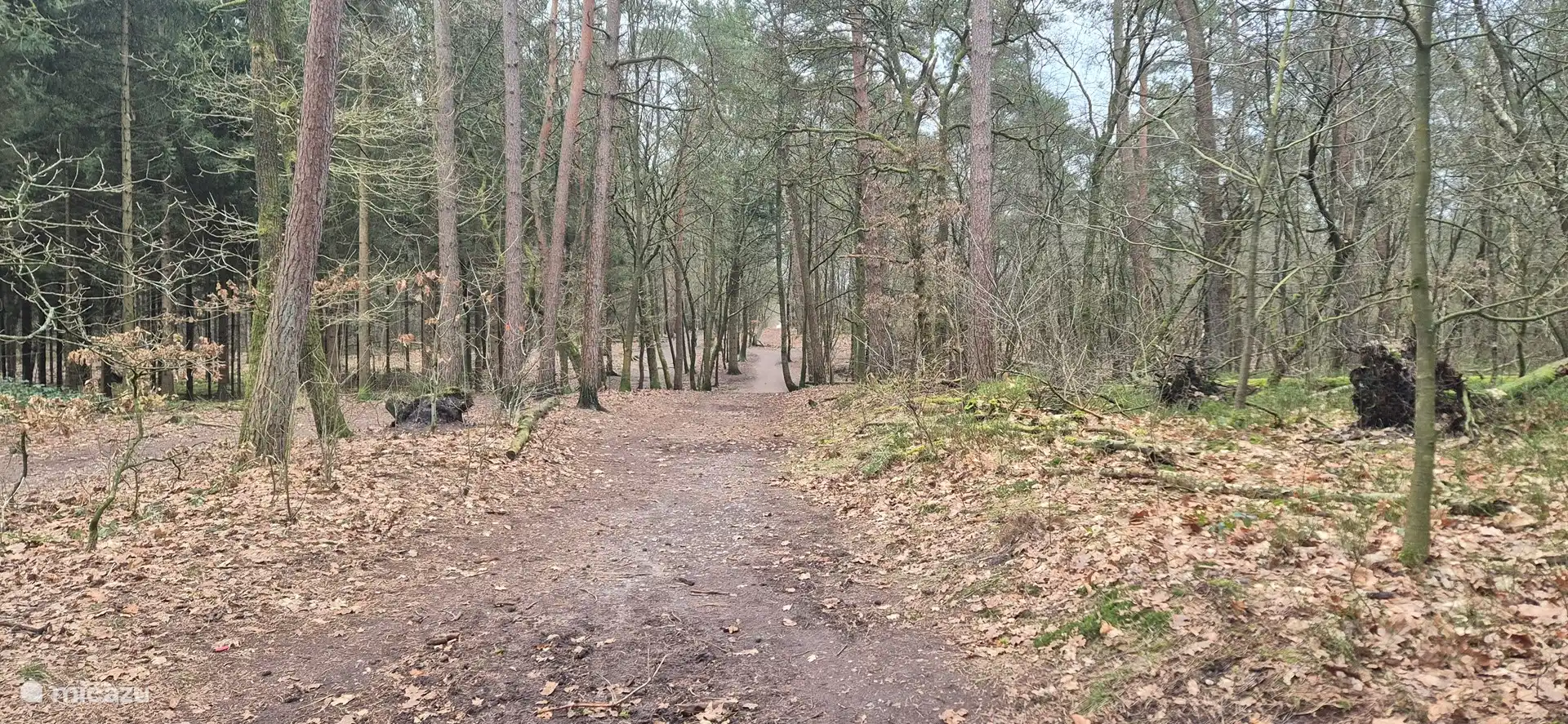 Zone sans laisse 't Leesten