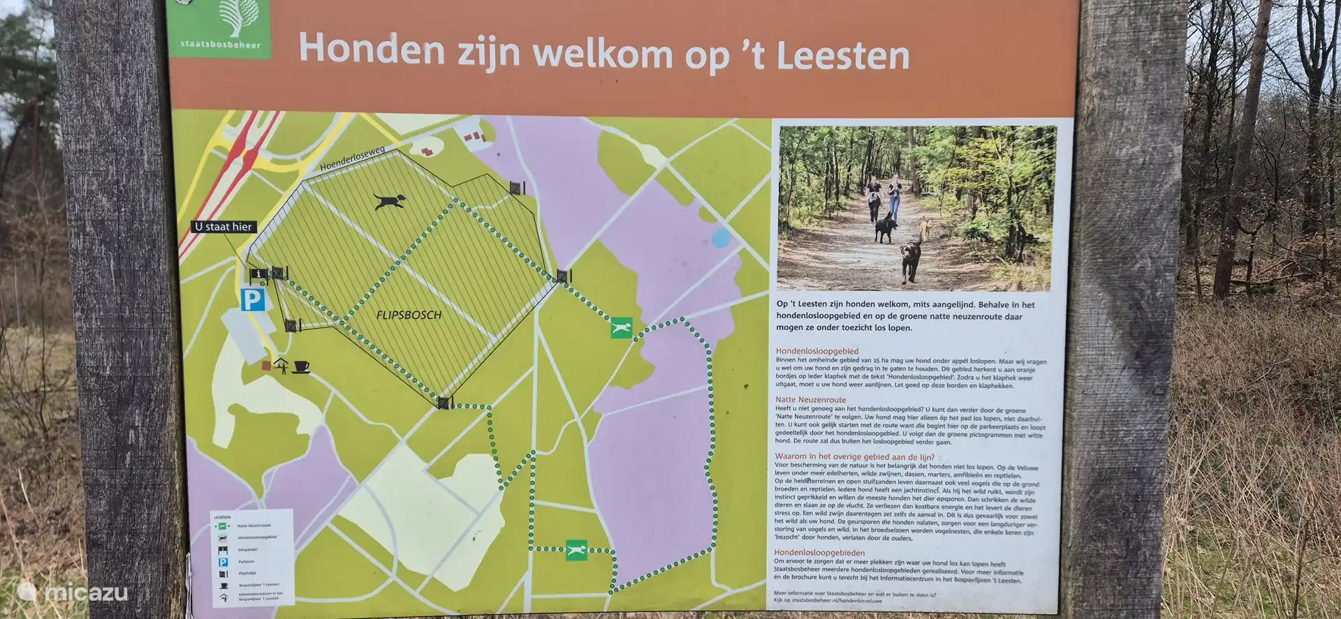 Zone sans laisse 't Leesten