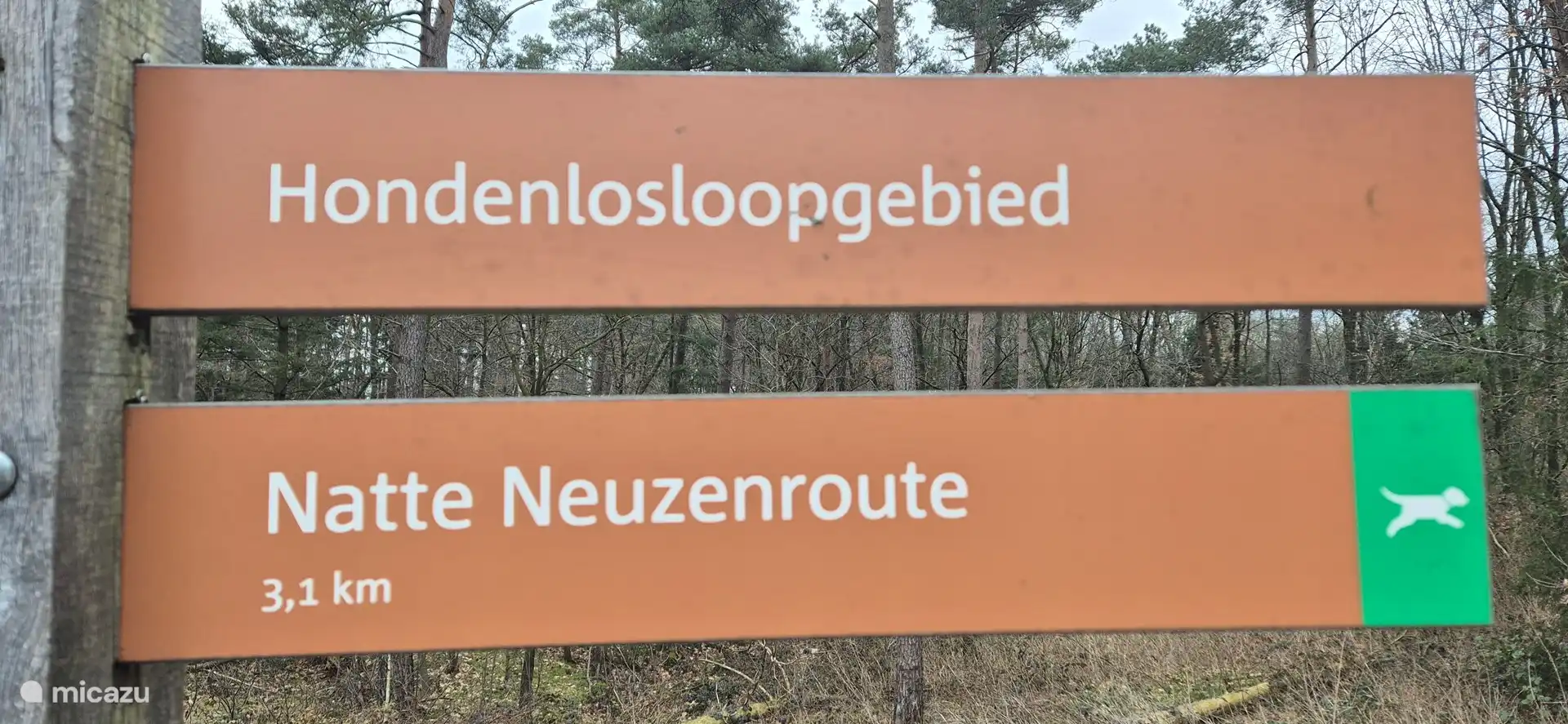 Zone sans laisse 't Leesten