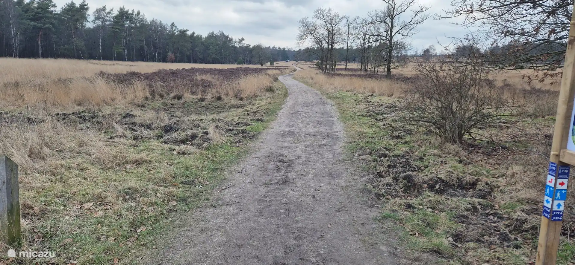 Belle promenade avec le chien juste à la sortie du parcSurtout pour les plus petits, c’est le chemin des gnomes. Thv Krimweg 140