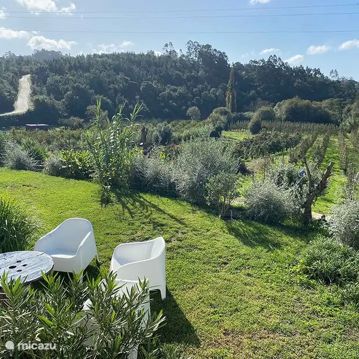 Front garden with views over the valley