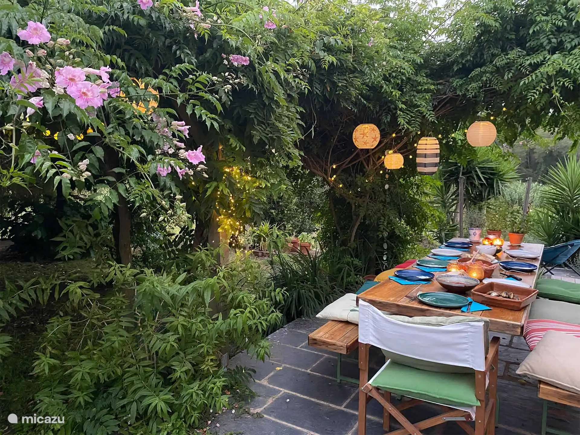 The sardines are ready!