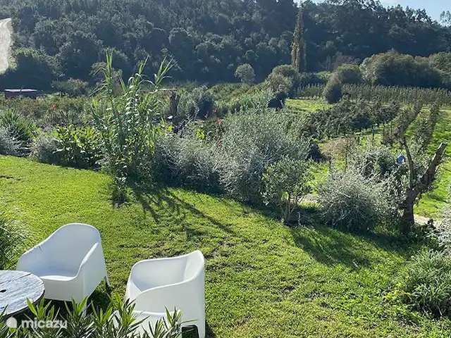Wandelen, Portugal, Costa de Prata, Alcobaça, bed & breakfast Pátio do Vale - Pátio voortuin met uitzicht over de vallei