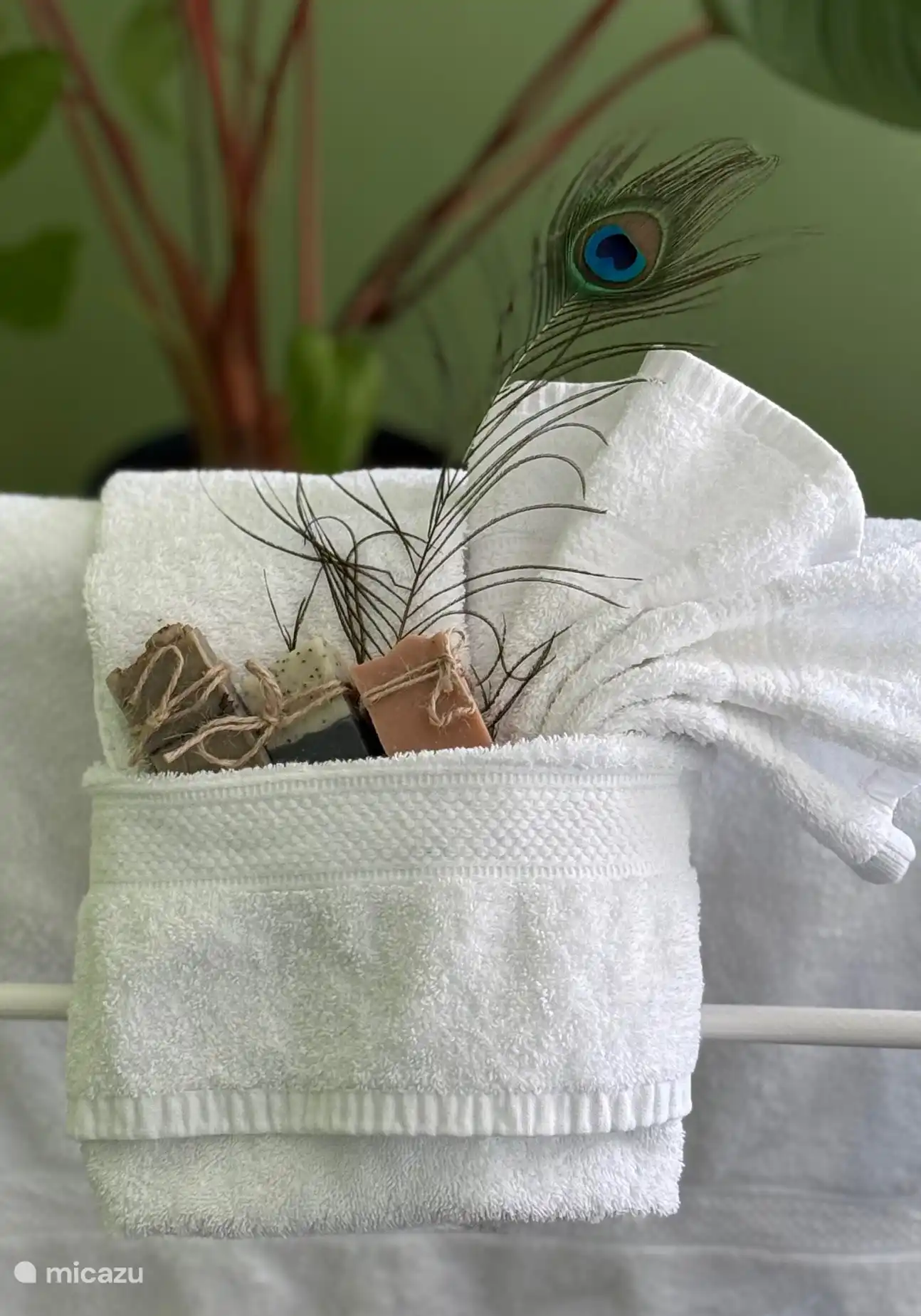 Des serviettes peuvent être réservées.