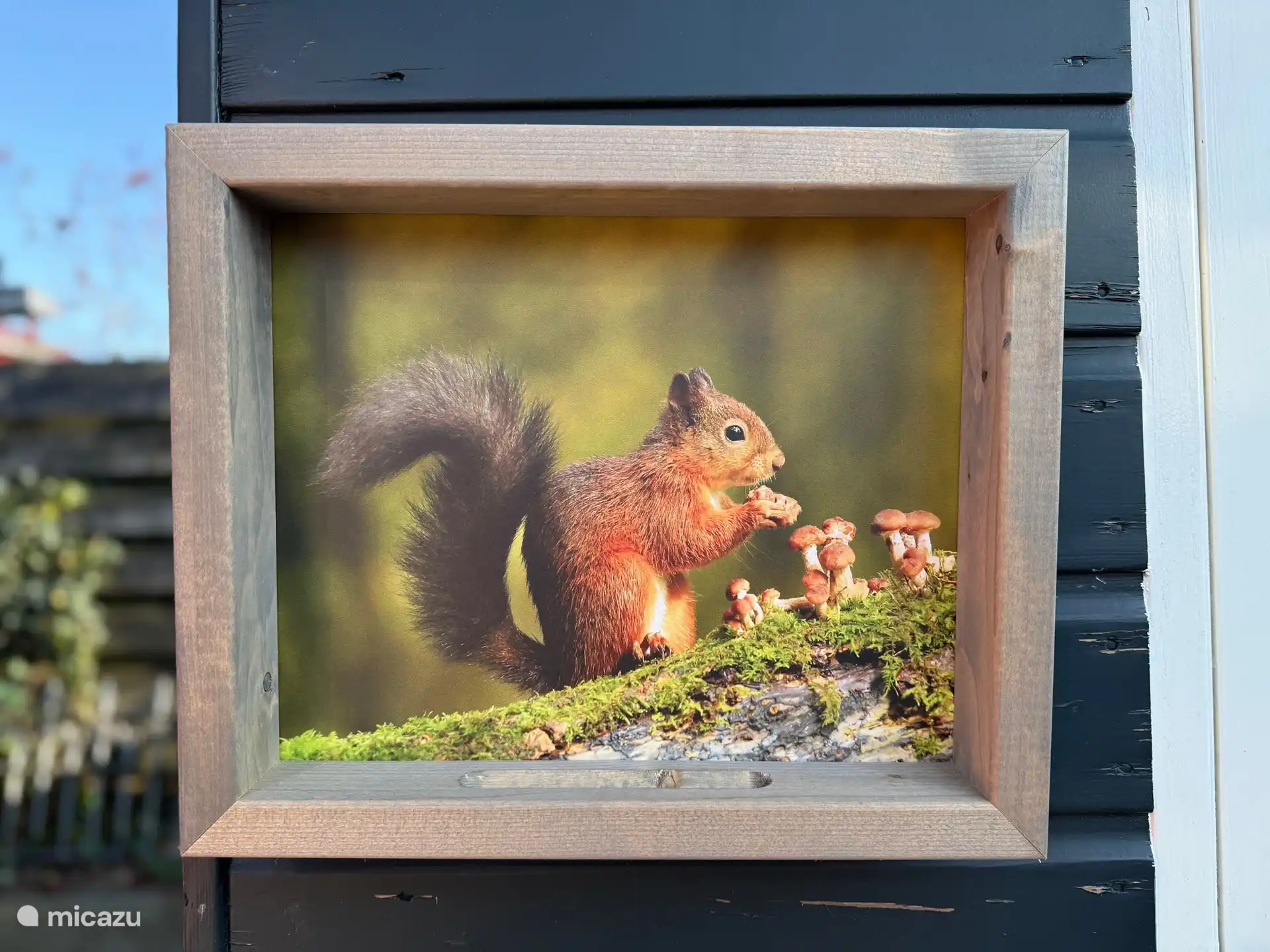 Ambiance dans le jardin.