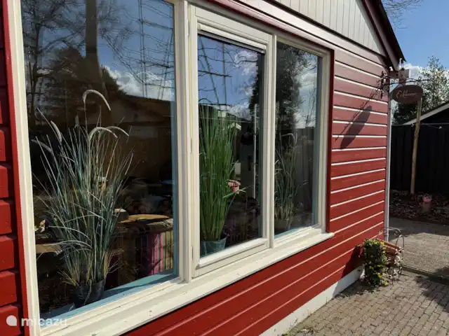 Écureuil | Pays-Bas, Gueldre, Voorthuizen - maison de vacances Devant