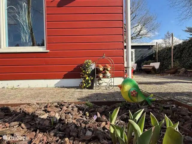 Écureuil | Pays-Bas, Gueldre, Voorthuizen - maison de vacances Joli jardin
