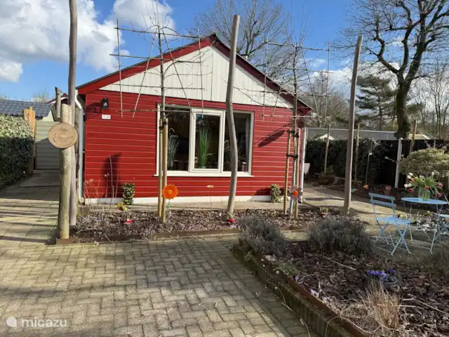 Écureuil | Pays-Bas, Gueldre, Voorthuizen - maison de vacances Place de parking devant la porte