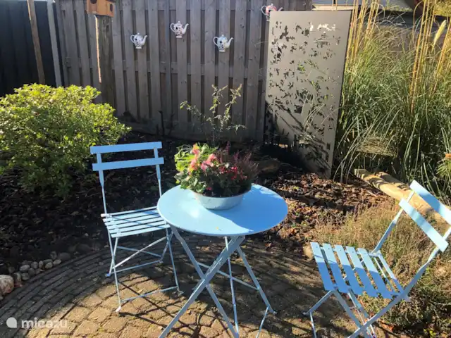 Écureuil | Pays-Bas, Gueldre, Voorthuizen - maison de vacances S’asseoir dans le jardin
