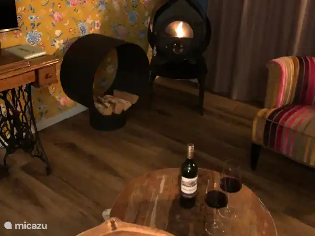 Écureuil | Pays-Bas, Gueldre, Voorthuizen - maison de vacances Cheminée chaleureuse