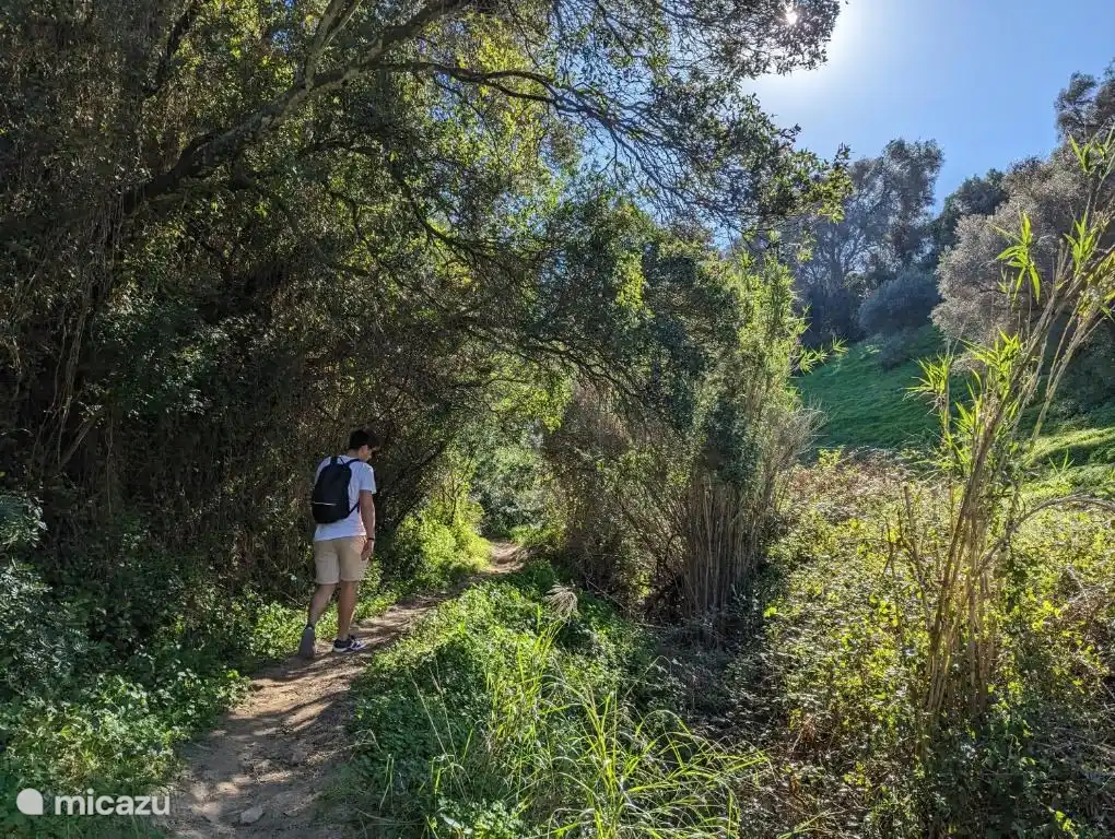Senderismo por la zona