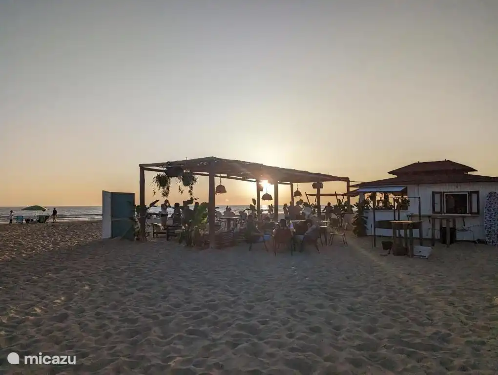 El Palmar bailando en la arena