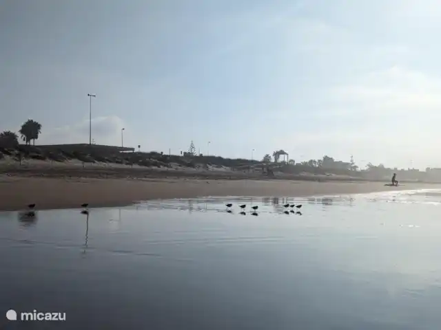 Casita de la Luz con piscina en España, Andalucía, Vejer de la Frontera - casa vacacional EL Palmar
